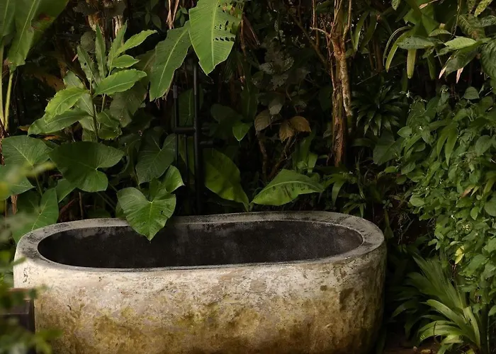 Wanagiri Wanara Ferienhaus Gitgit