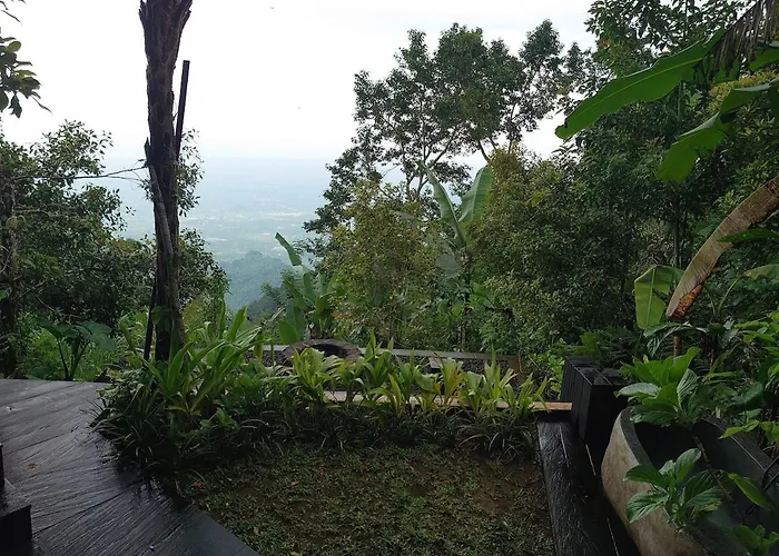 Wanagiri Wanara Gitgit